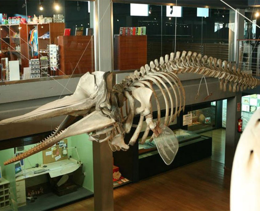 EL-LAGAR-DE-SOMO--museo-maritimo-SANTANDER